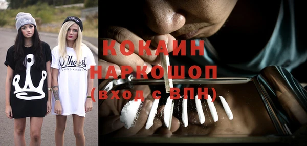 apvp Новозыбков