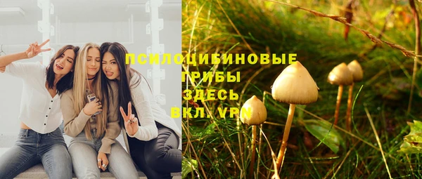 apvp Новозыбков
