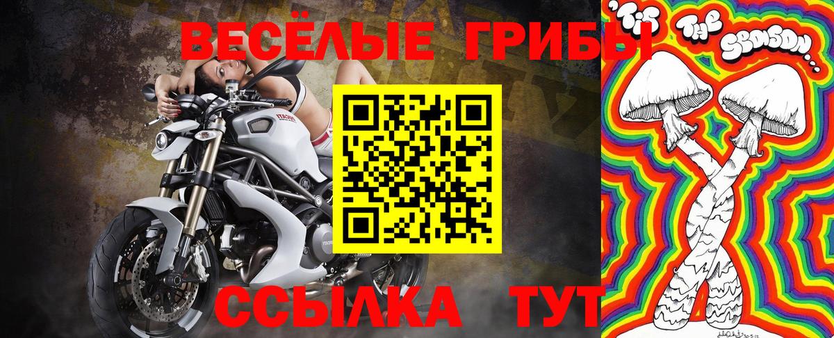 Галлюциногенные грибы Cubensis Тавда