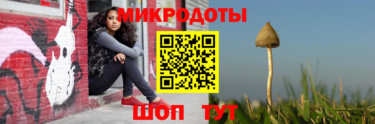 Галлюциногенные грибы MAGIC MUSHROOMS  Тавда 